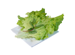SM Sachet salade menthe